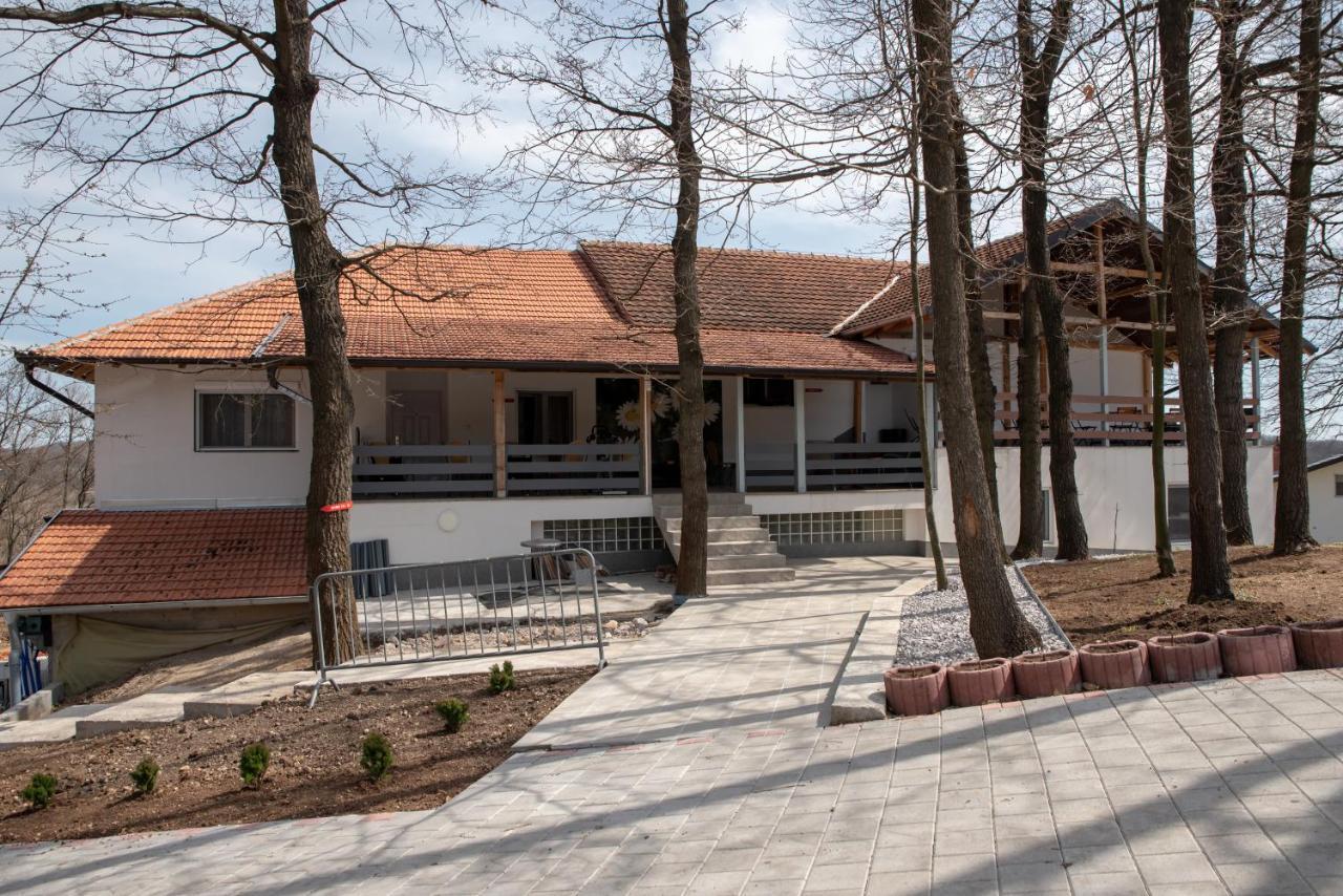 Konak Ljubica Rtanj Boljevac Εξωτερικό φωτογραφία
